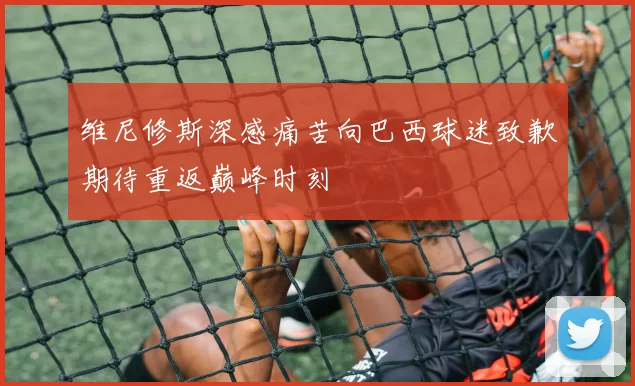 维尼修斯深感痛苦向巴西球迷致歉期待重返巅峰时刻